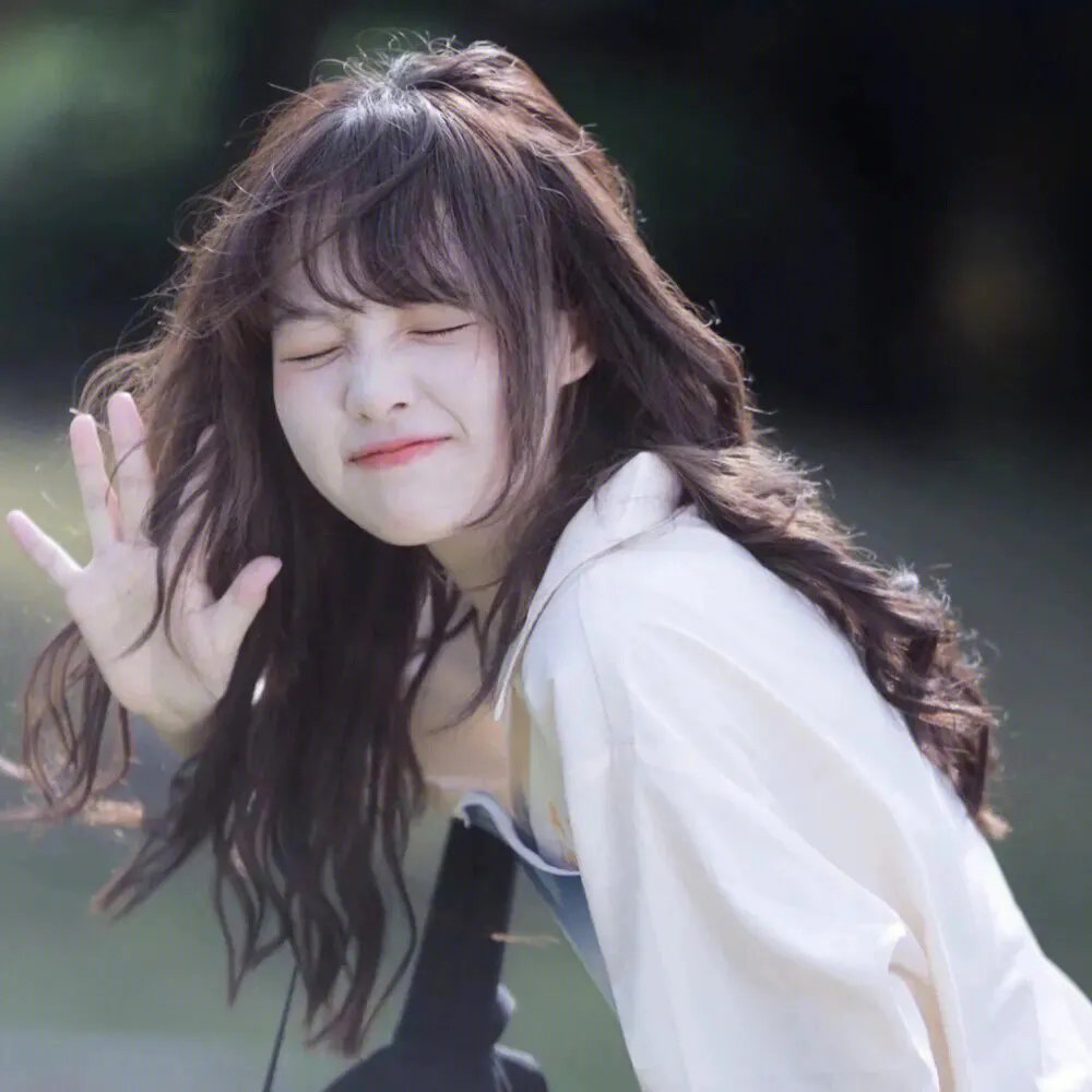 森林里的熊先生